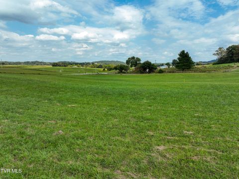 Tiny photo for Tbd Dodd Branch Road, Lot 4, Greeneville, TN 37743 (MLS # 9986379)