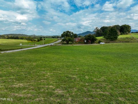 Tiny photo for Tbd Dodd Branch Road, Lot 4, Greeneville, TN 37743 (MLS # 9986379)