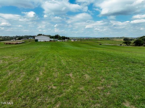 Tiny photo for Tbd Dodd Branch Road, Lot 4, Greeneville, TN 37743 (MLS # 9986379)