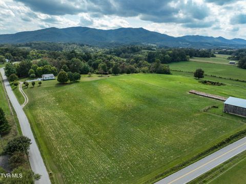 Tiny photo for Tbd Dodd Branch Road, Lot 4, Greeneville, TN 37743 (MLS # 9986379)