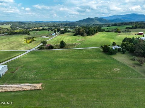 Tiny photo for Tbd Dodd Branch Road, Lot 4, Greeneville, TN 37743 (MLS # 9986379)