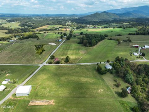 Tiny photo for Tbd Dodd Branch Road, Lot 4, Greeneville, TN 37743 (MLS # 9986379)