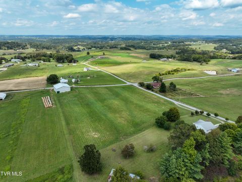Tiny photo for Tbd Dodd Branch Road, Lot 4, Greeneville, TN 37743 (MLS # 9986379)