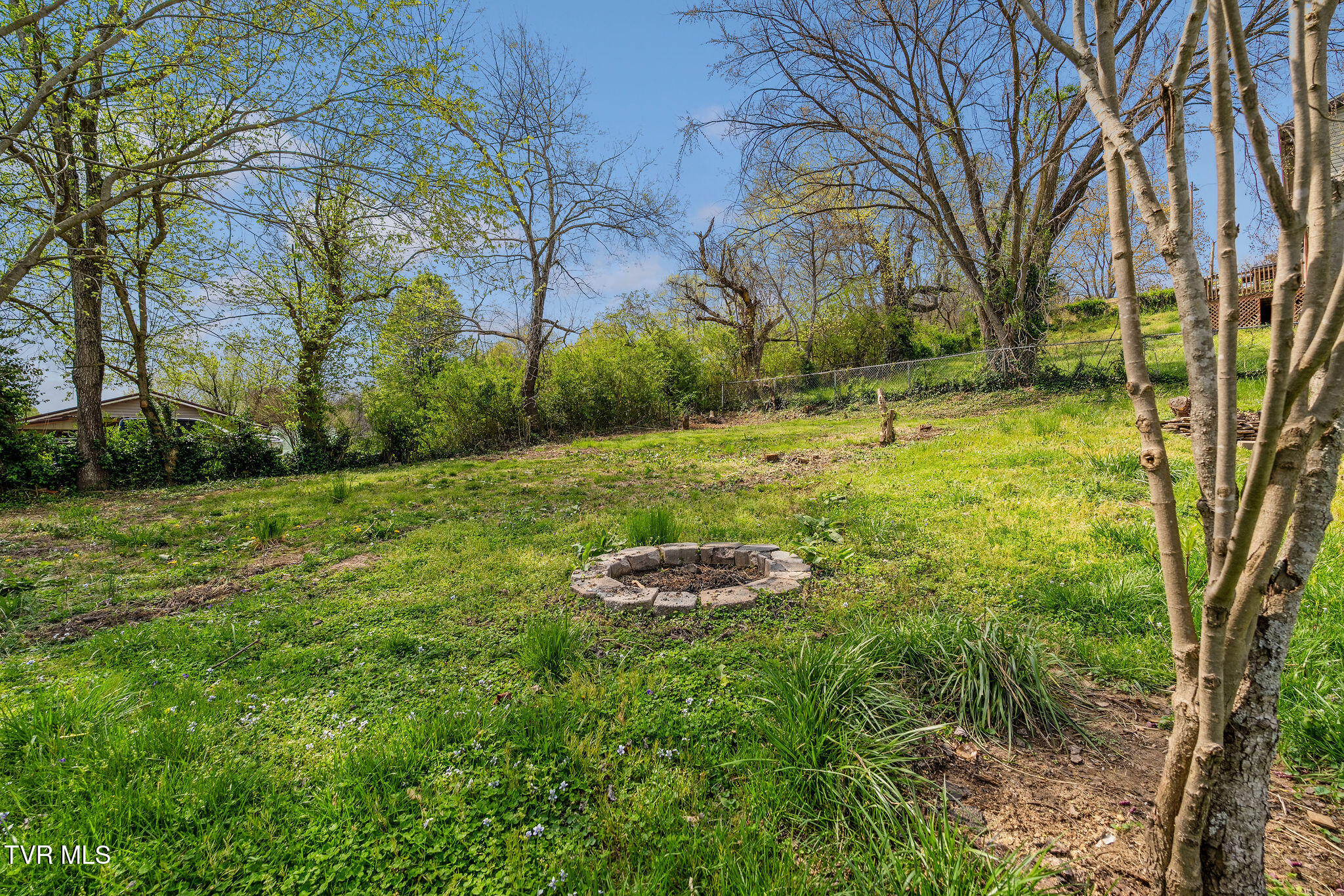 127 Jones Street, Rogersville, Tennessee image 35