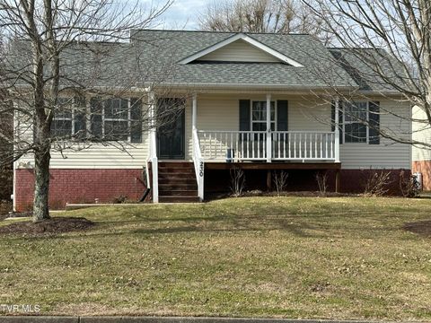 Photo of 230 Mockingbird Place, Jonesborough, TN 37659 (MLS # 9989758)