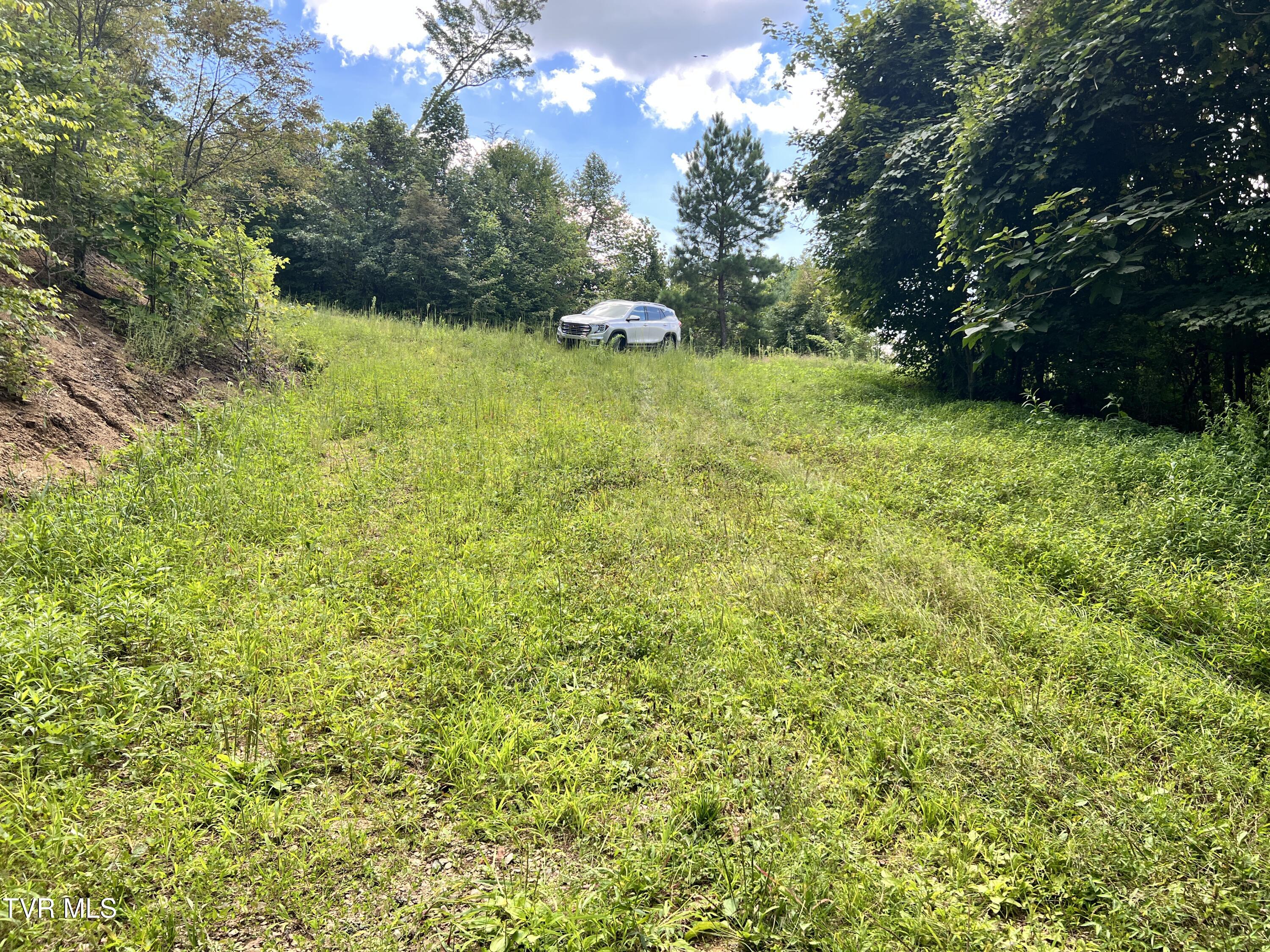 Tbd Tulip Poplar Trail Extension, Butler, Tennessee image 7