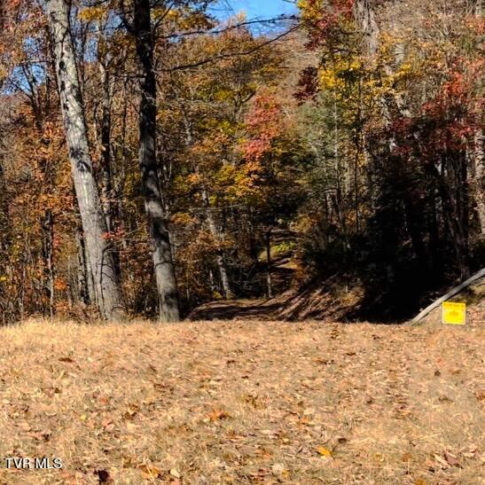 Tbd Tulip Poplar Trail Extension, Butler, Tennessee image 4
