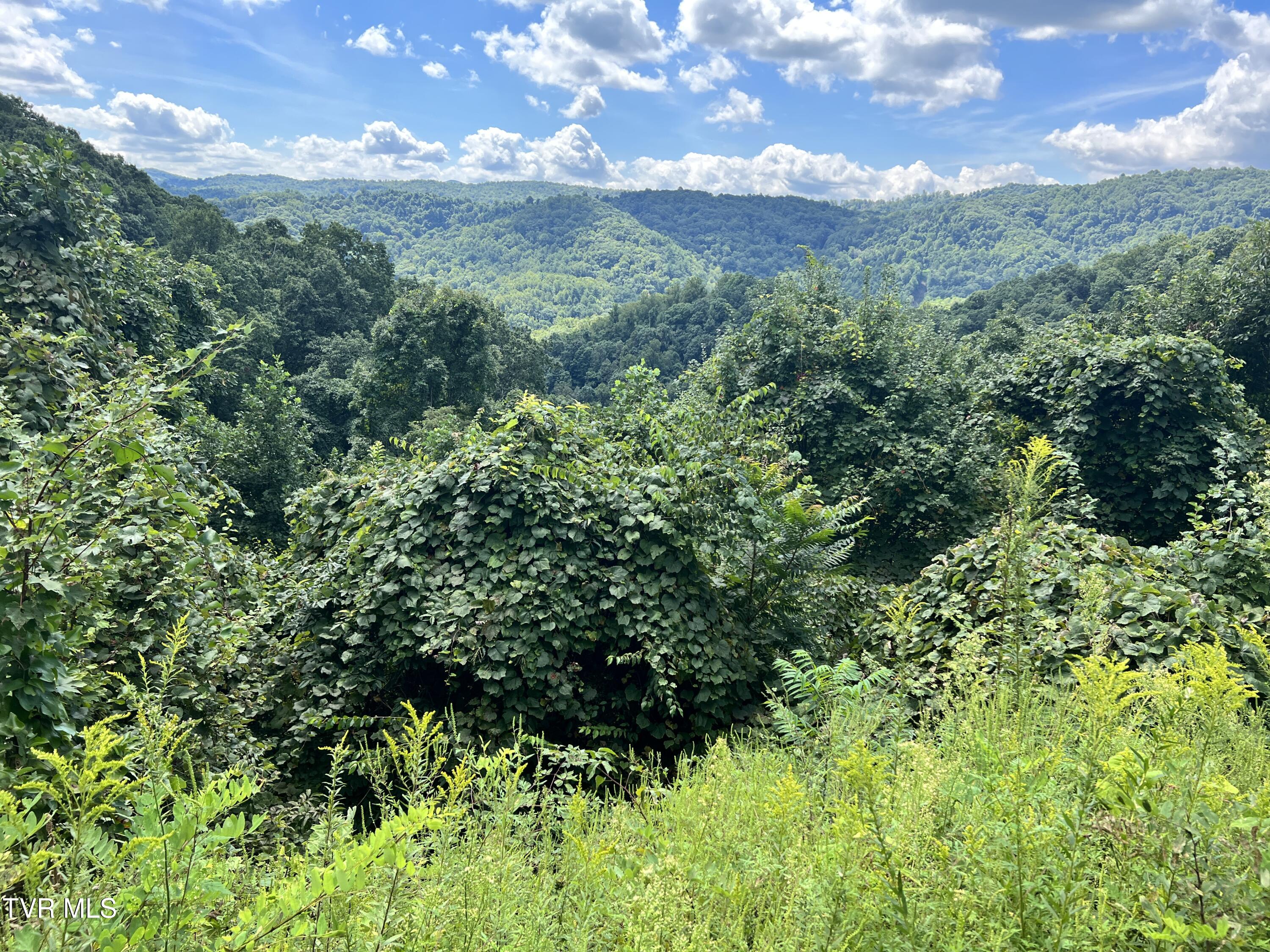 Tbd Tulip Poplar Trail Extension, Butler, Tennessee image 6