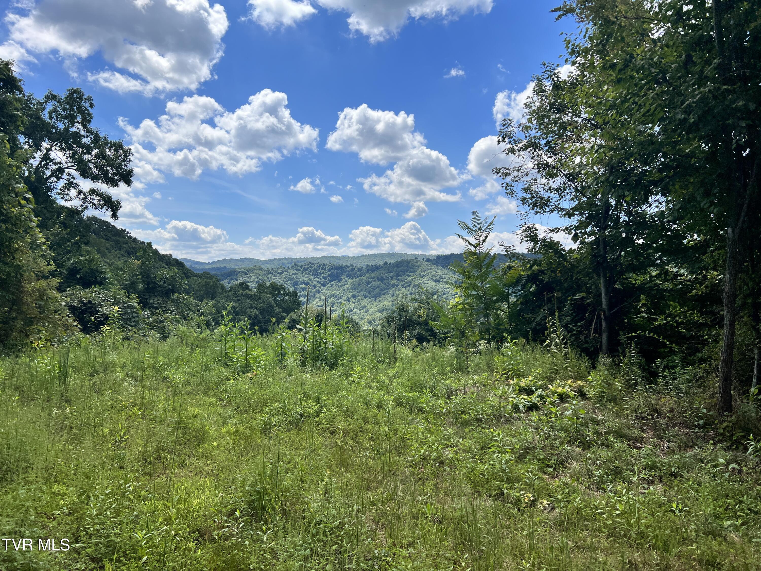 Tbd Tulip Poplar Trail Extension, Butler, Tennessee image 5