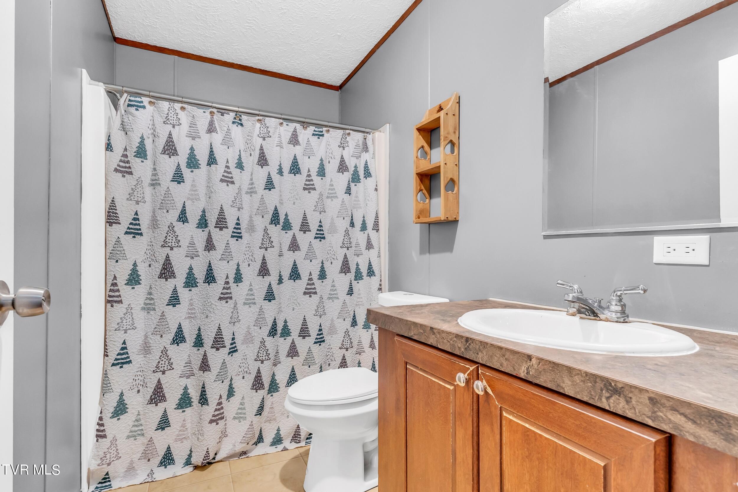 252 Cactus Lane Lane, Duffield, Virginia image 29