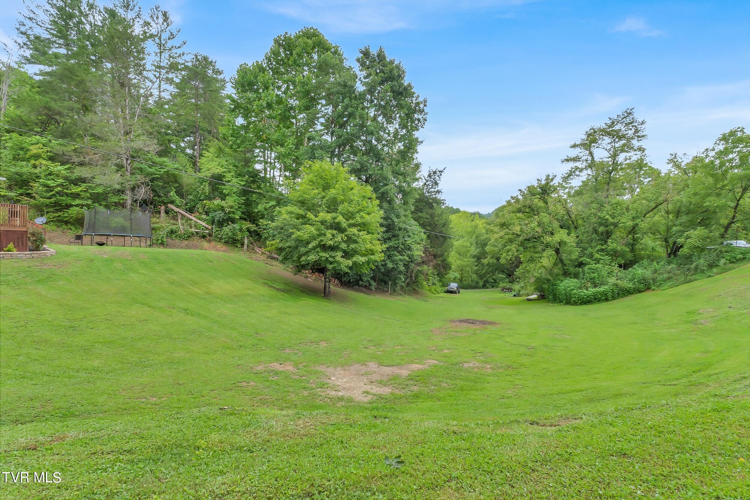 252 Cactus Lane Lane, Duffield, Virginia image 35