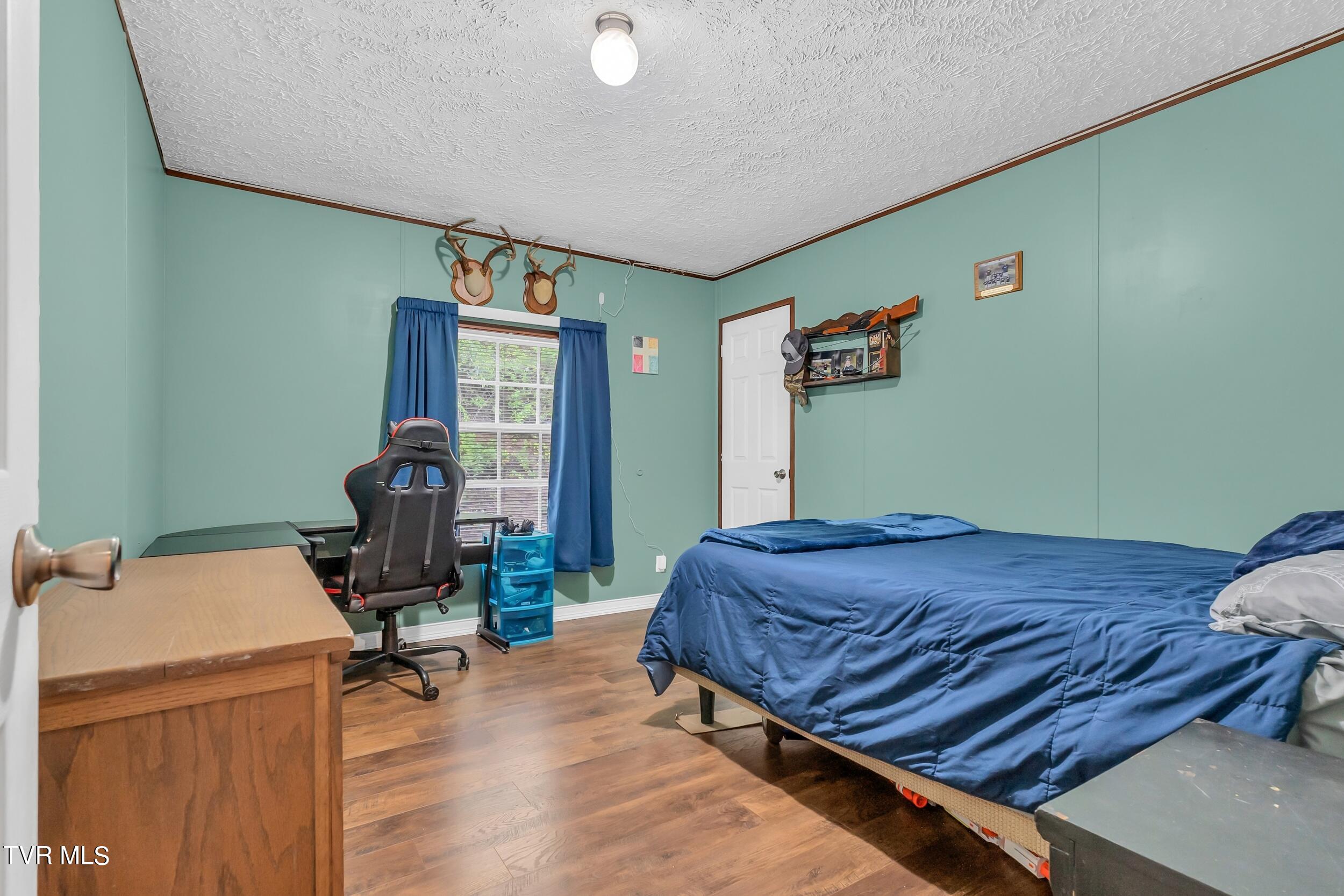 252 Cactus Lane Lane, Duffield, Virginia image 27