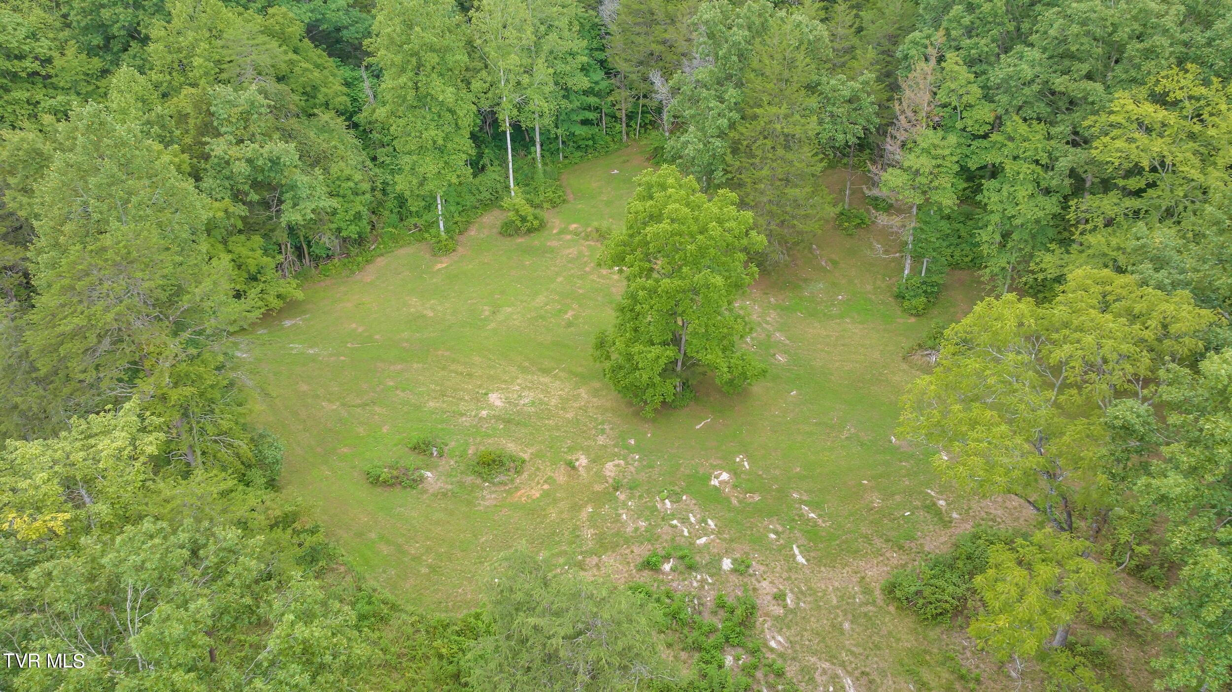 252 Cactus Lane Lane, Duffield, Virginia image 48