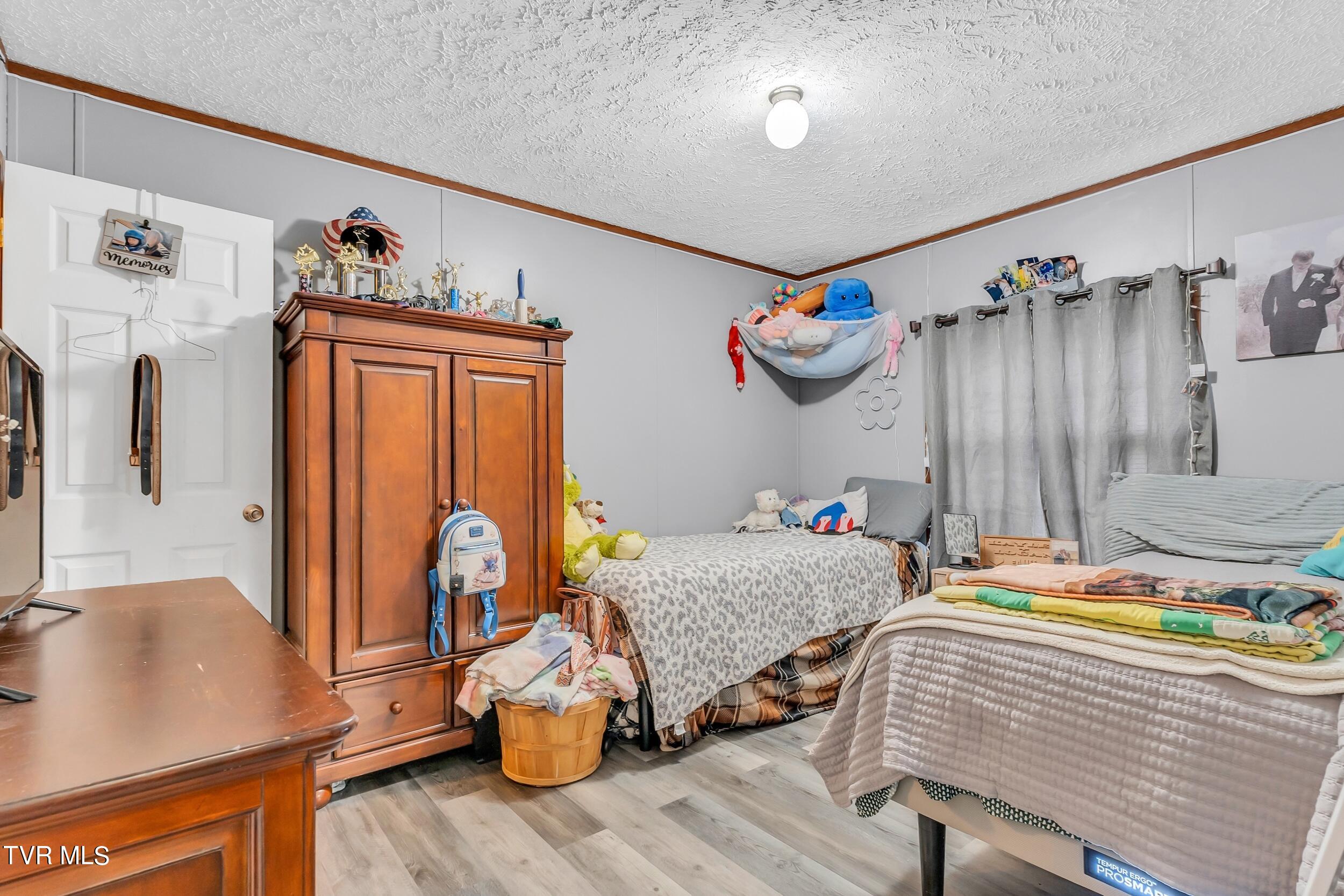 252 Cactus Lane Lane, Duffield, Virginia image 30