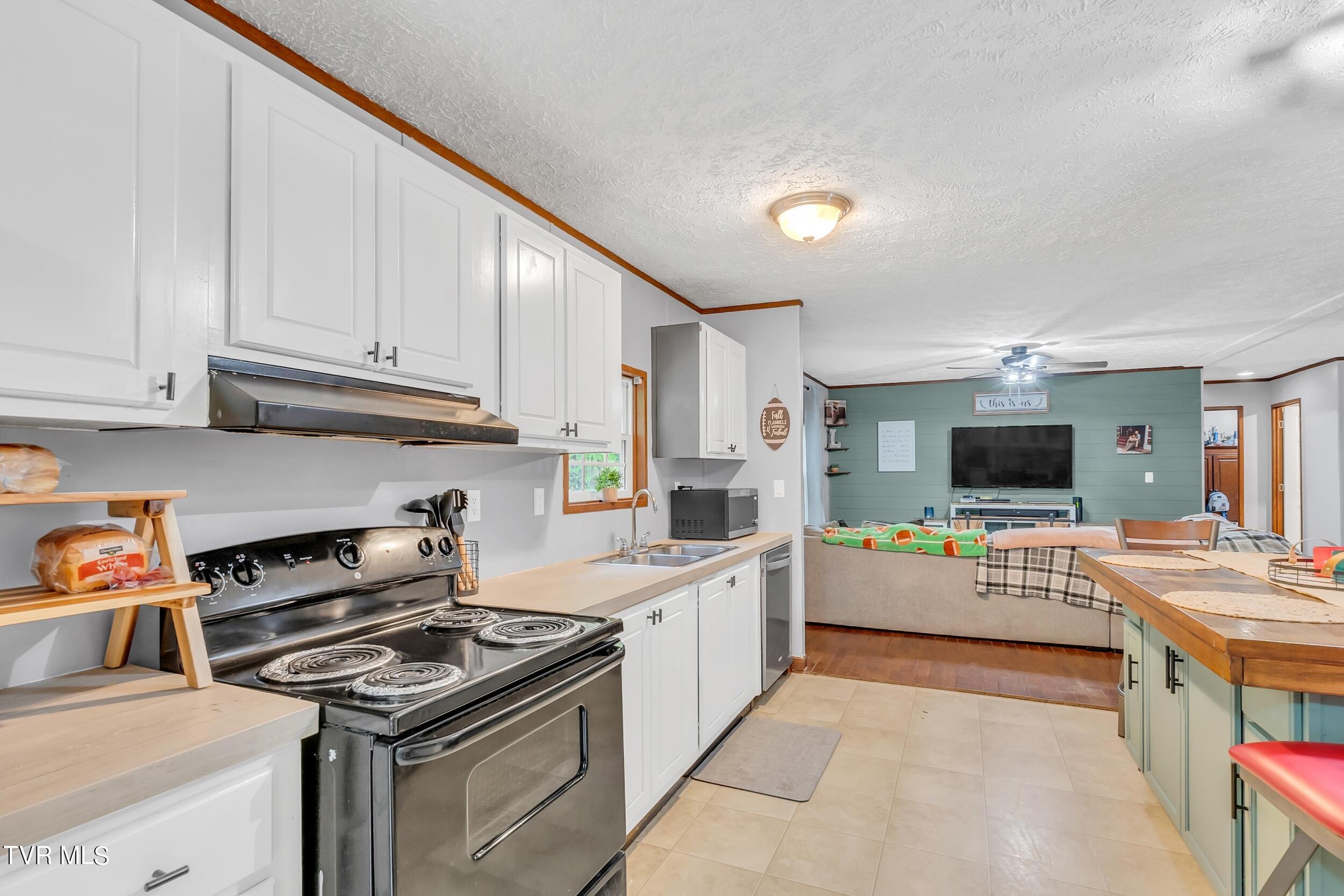 252 Cactus Lane Lane, Duffield, Virginia image 15