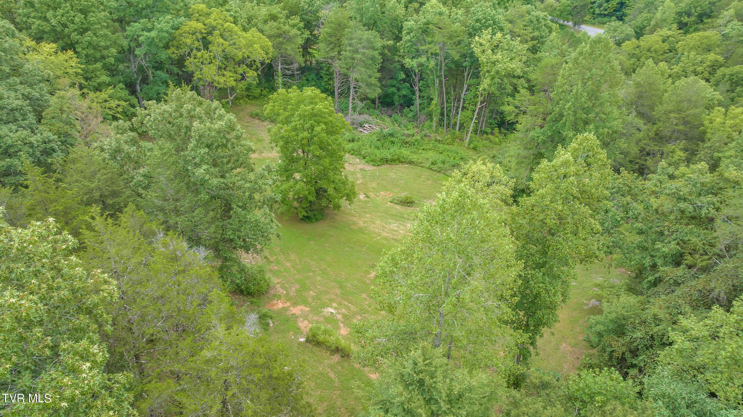 252 Cactus Lane Lane, Duffield, Virginia image 49