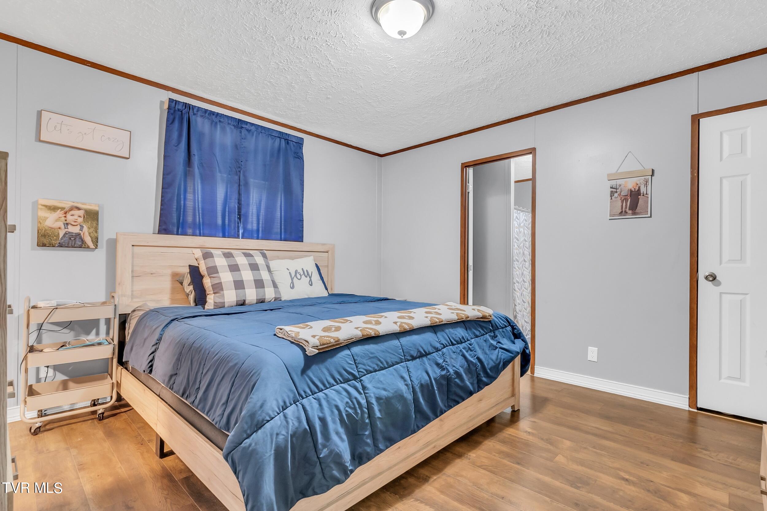 252 Cactus Lane Lane, Duffield, Virginia image 20
