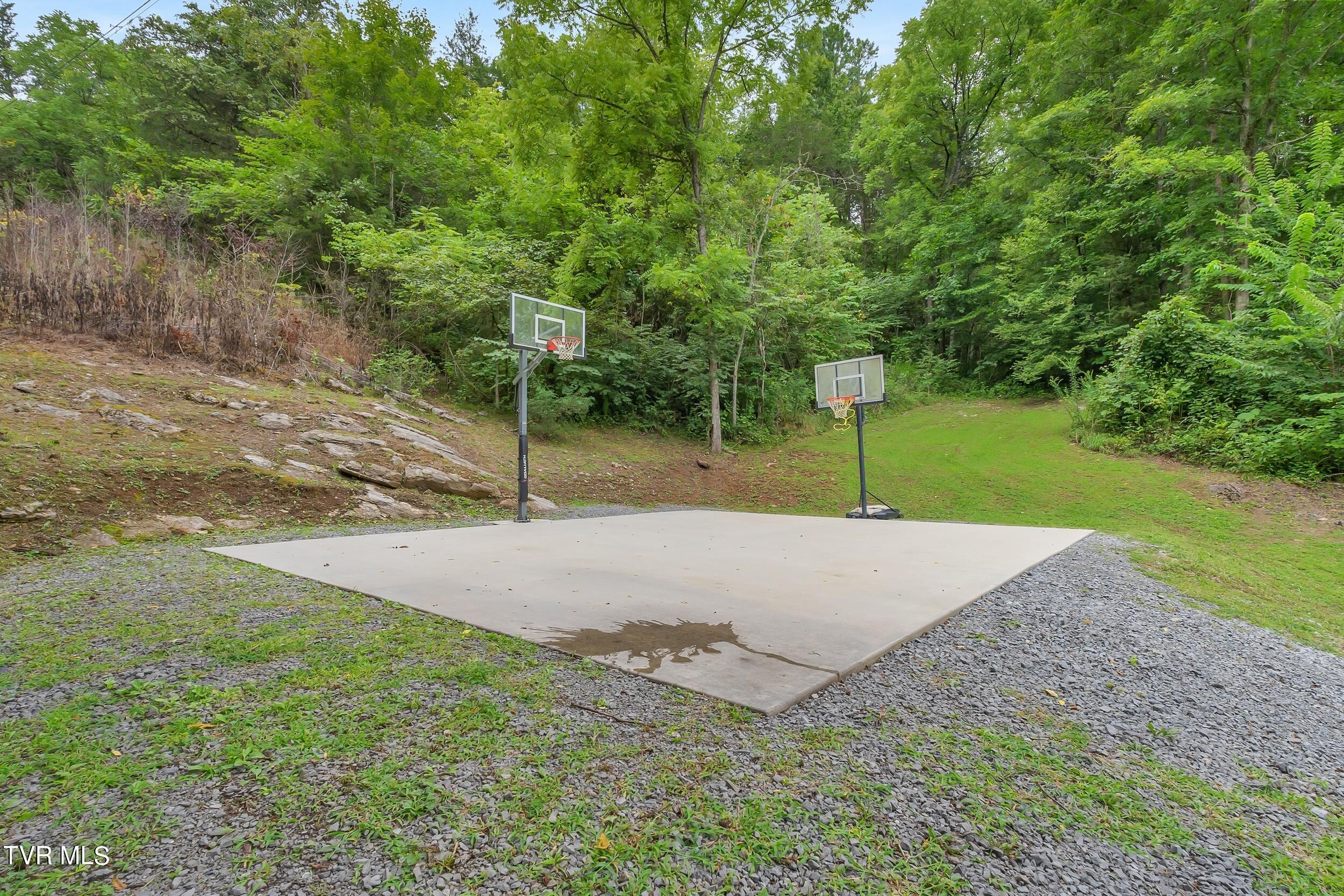 252 Cactus Lane Lane, Duffield, Virginia image 41