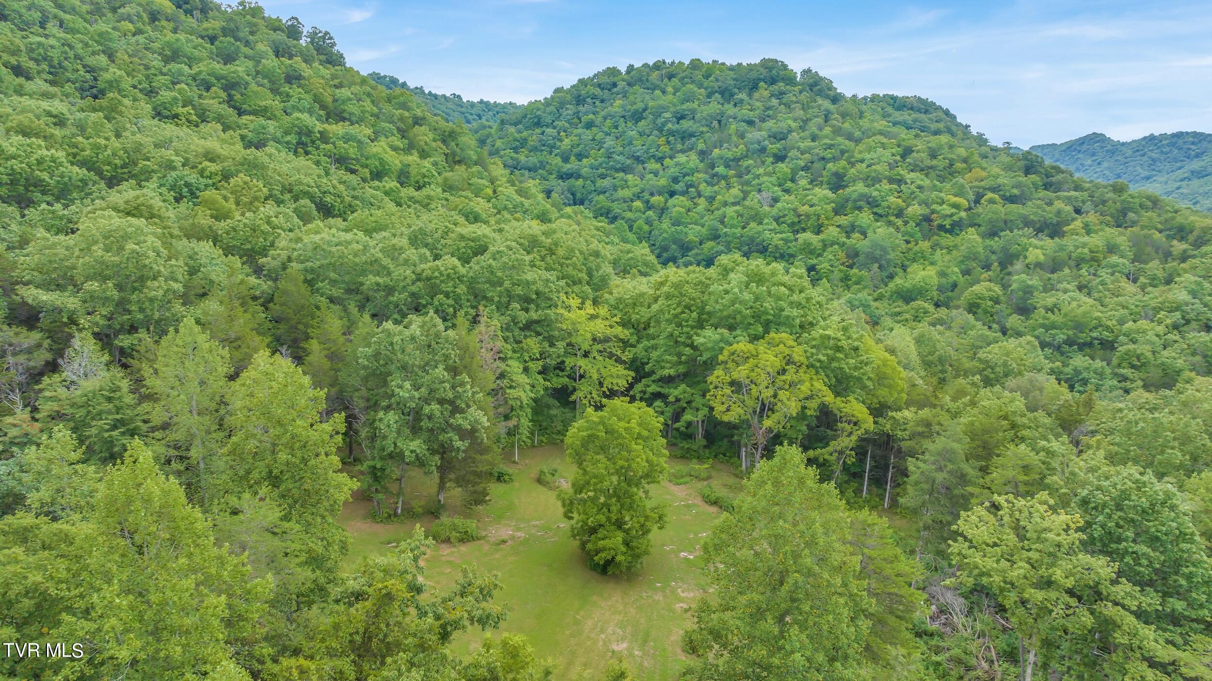252 Cactus Lane Lane, Duffield, Virginia image 50