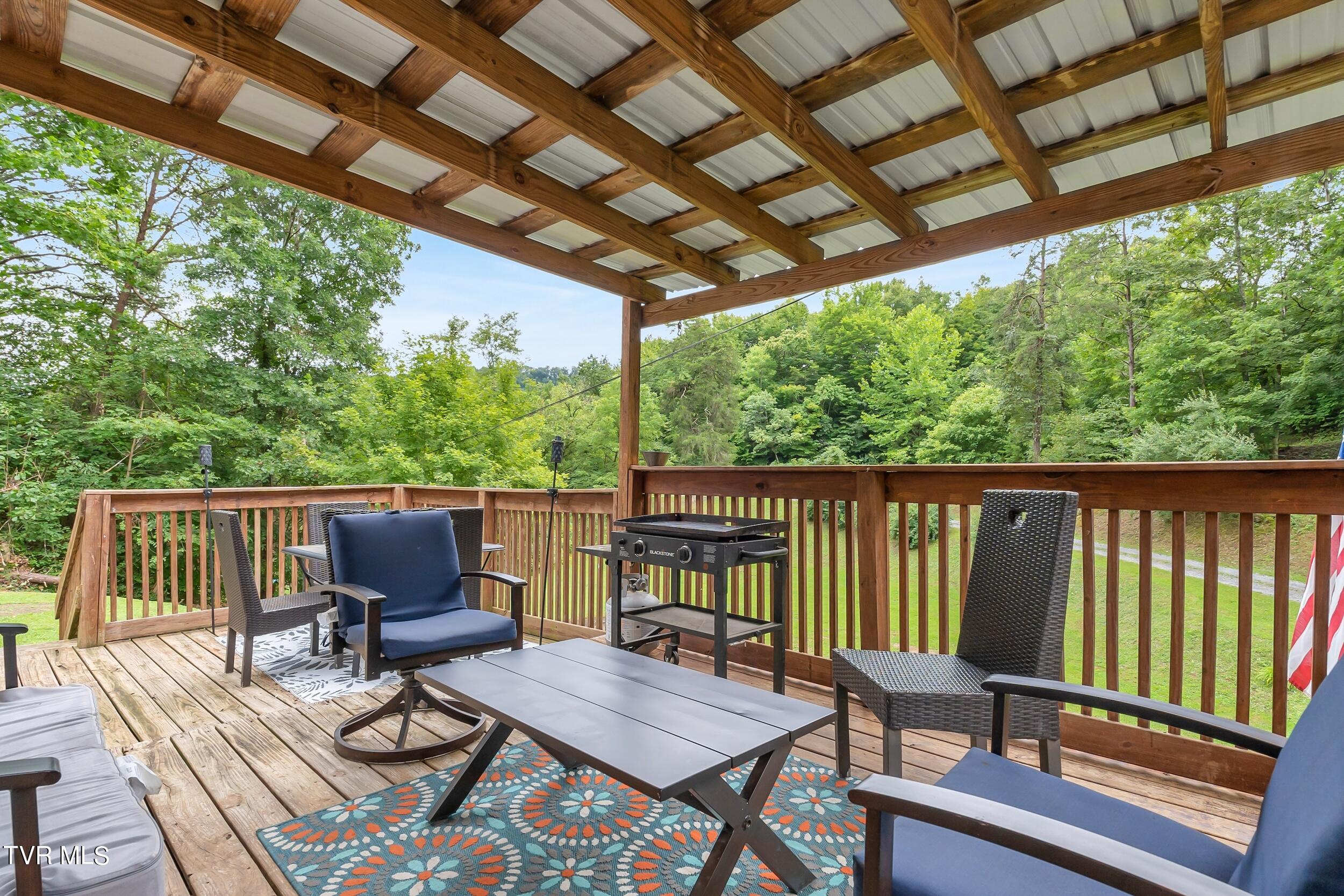 252 Cactus Lane Lane, Duffield, Virginia image 4