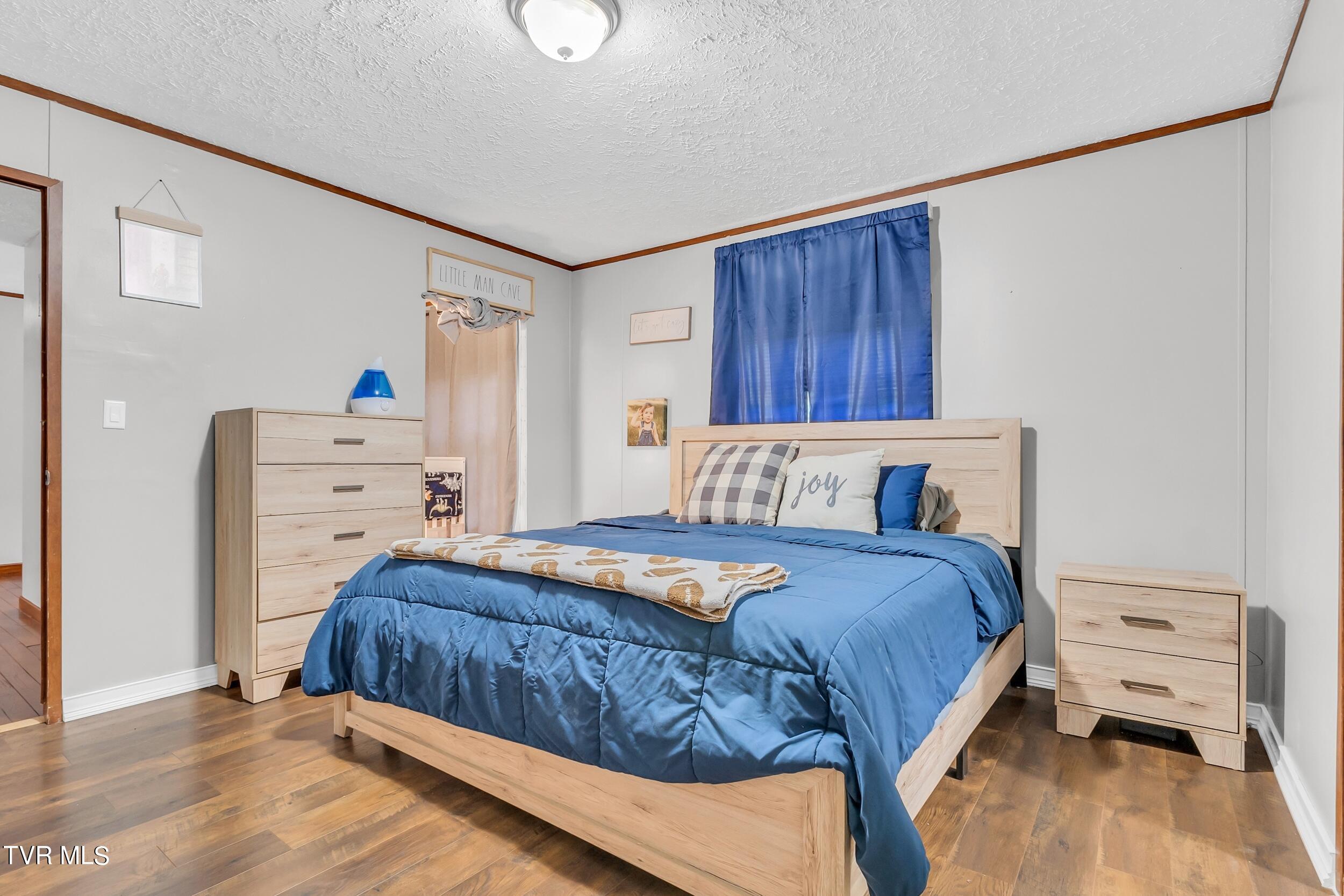 252 Cactus Lane Lane, Duffield, Virginia image 21