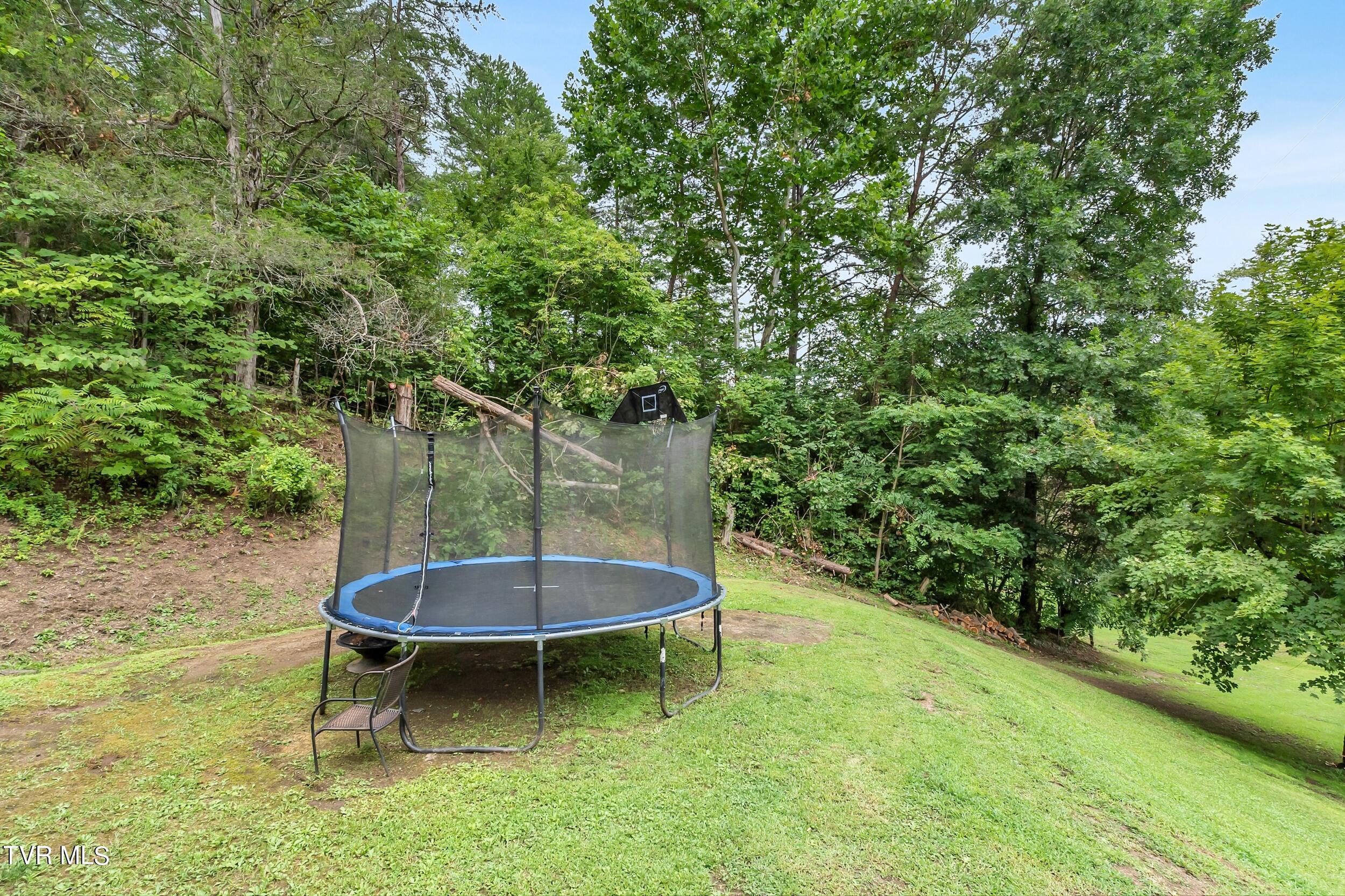 252 Cactus Lane Lane, Duffield, Virginia image 34