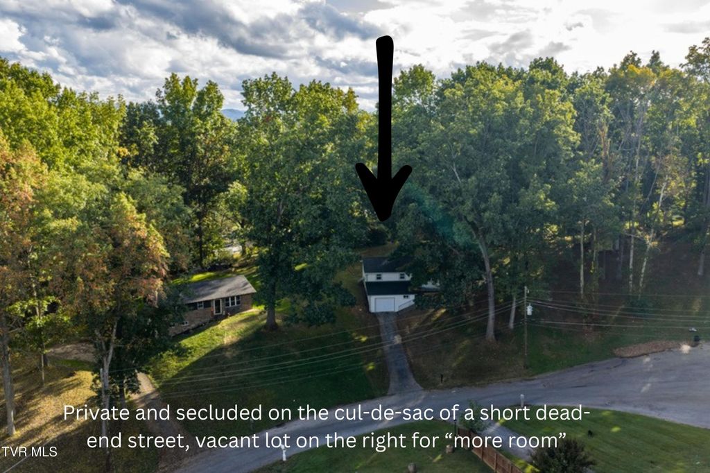 Photo of 317 Rosemary Lane, Piney Flats, TN 37686 (MLS # 9992907)