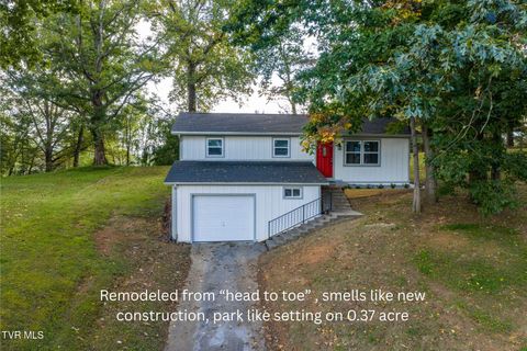 Photo of 317 Rosemary Lane, Piney Flats, TN 37686 (MLS # 9992907)