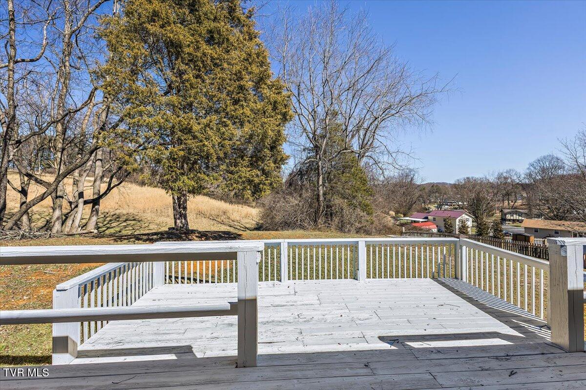 197 Dewdrop Place, Bristol, Virginia image 37