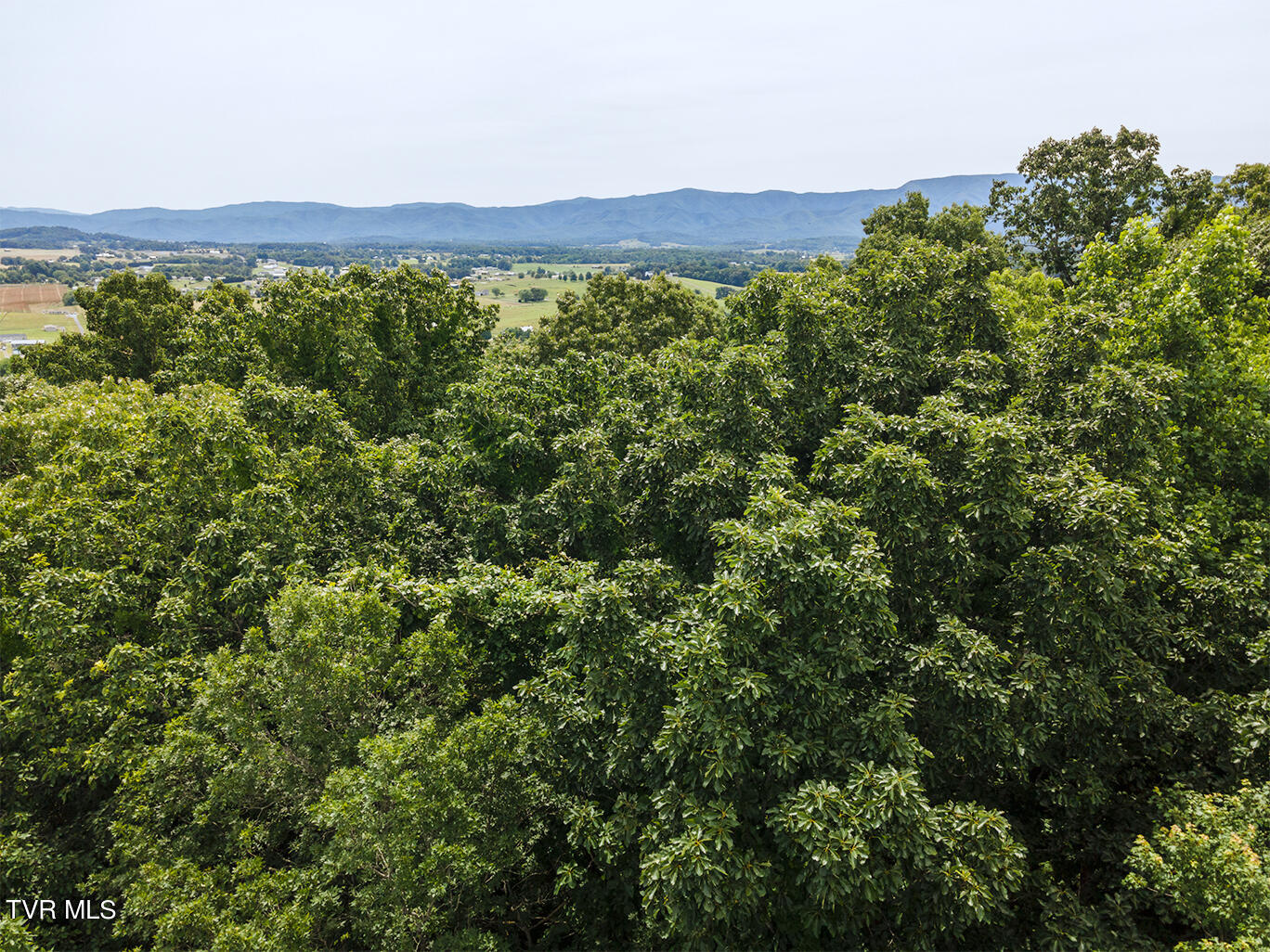 Tbd River Village Lane, Afton, Tennessee image 6