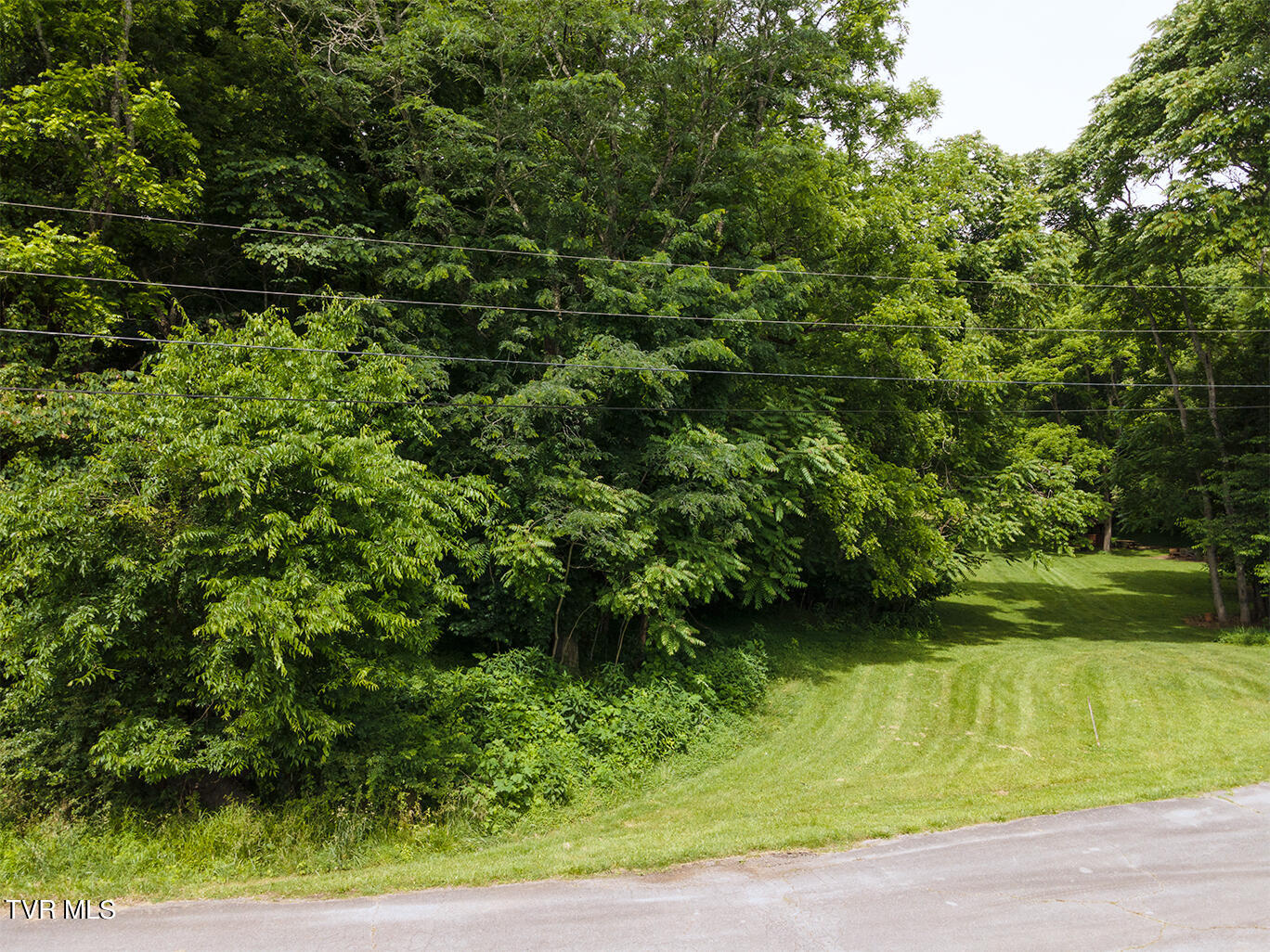 Tbd River Village Lane, Afton, Tennessee image 4