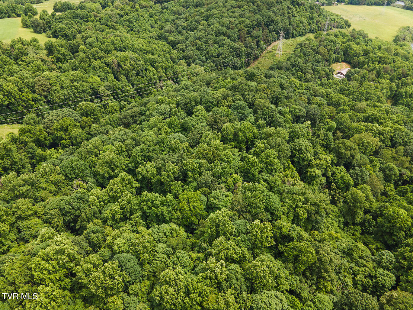 Tbd River Village Lane, Afton, Tennessee image 8