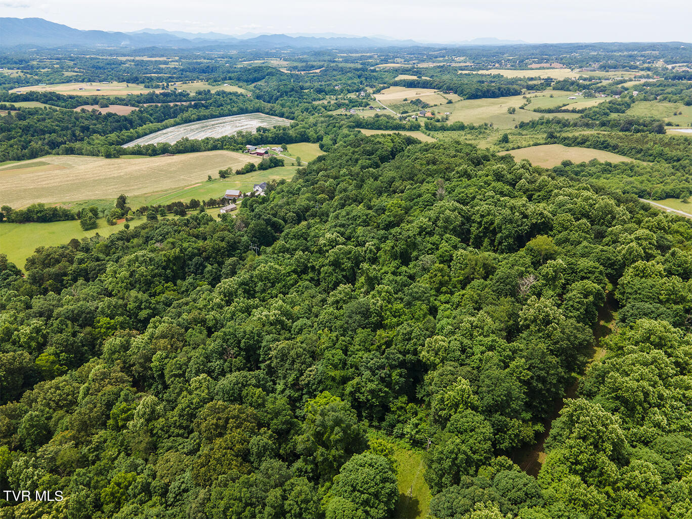 Tbd River Village Lane, Afton, Tennessee image 11