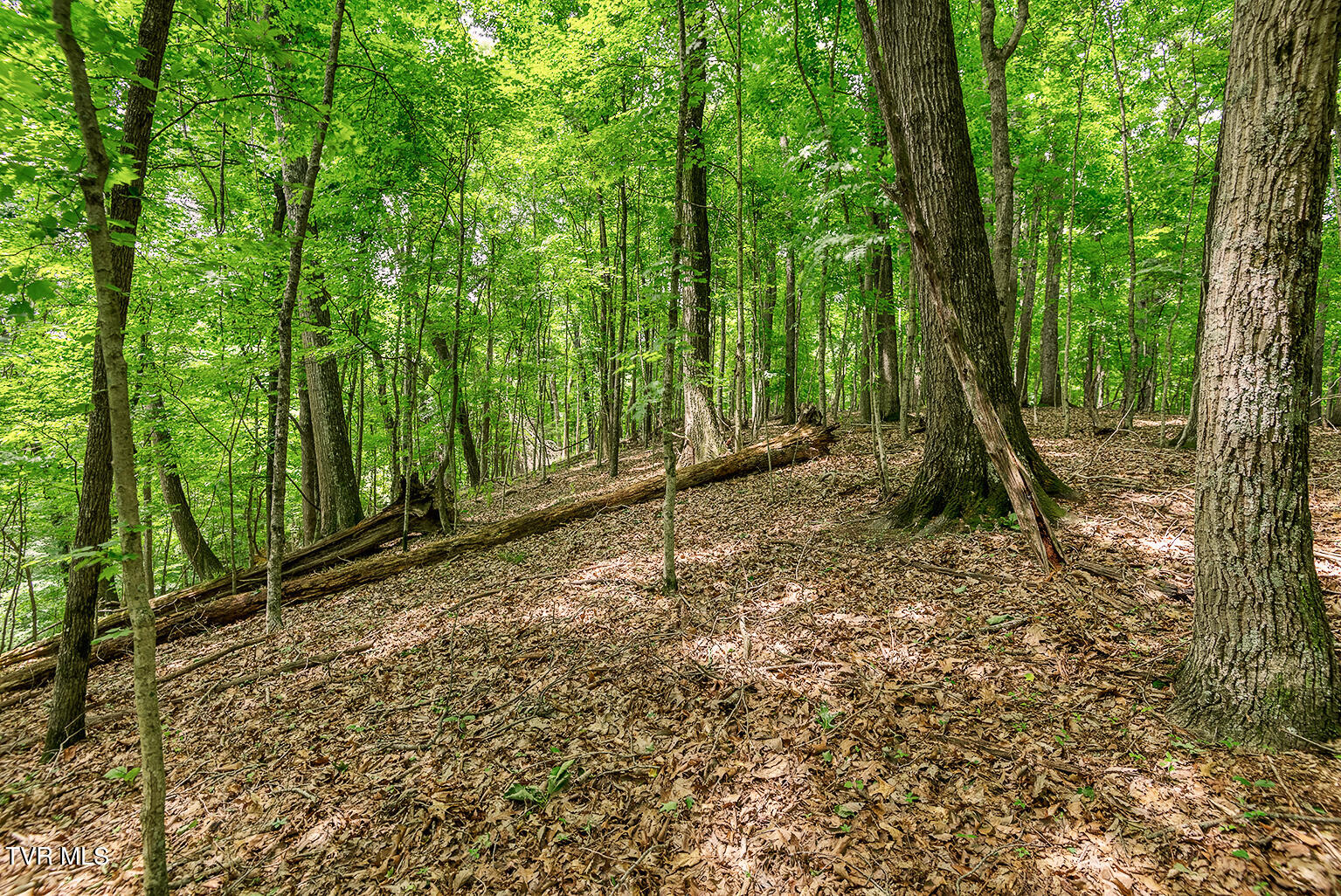 Tbd River Village Lane, Afton, Tennessee image 16