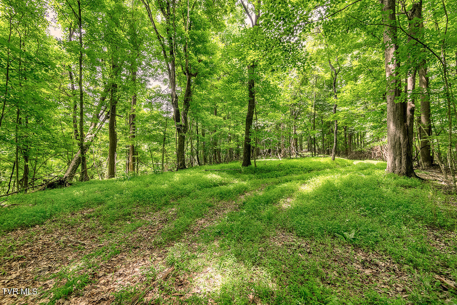Tbd River Village Lane, Afton, Tennessee image 18