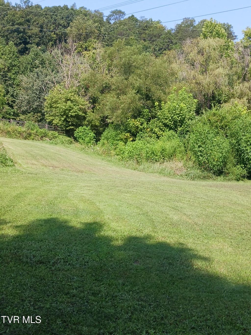 Photo of 424 Buzzard Roost Road, Bulls Gap, TN 37711 (MLS # 9990384)