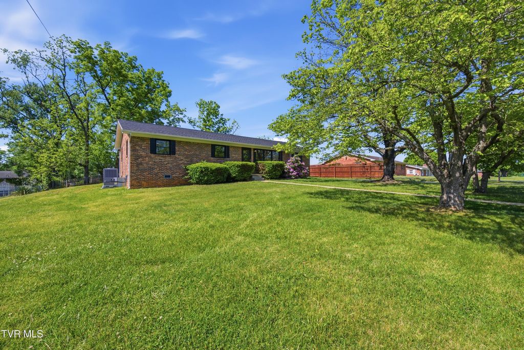 Photo of 164 Kaluna Avenue, Bluff City, TN 37618 (MLS # 9994803)
