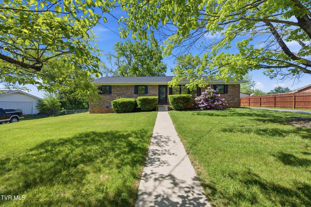 Photo of 164 Kaluna Avenue, Bluff City, TN 37618 (MLS # 9994803)