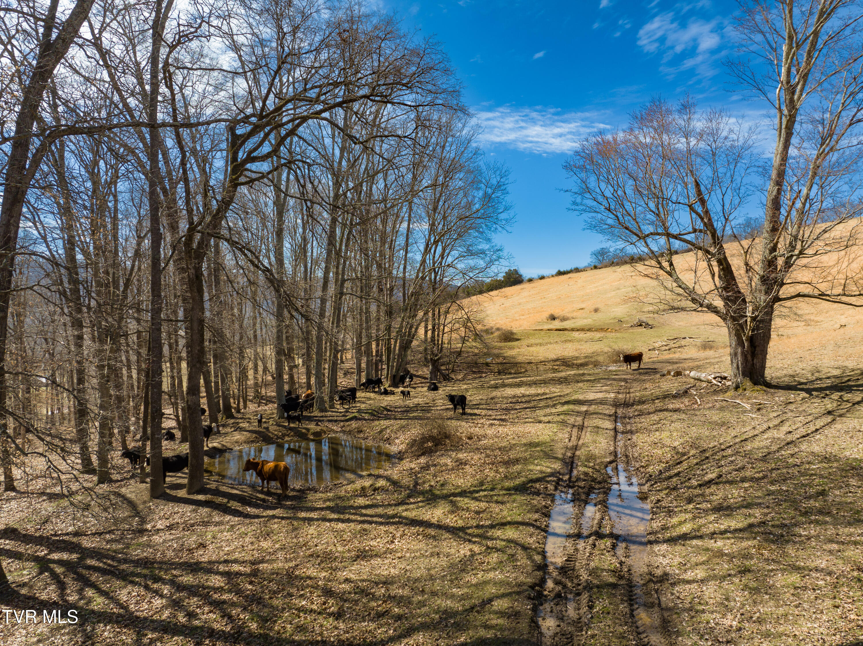 2192 Wolfe Cir Cir, Thorn Hill, Tennessee image 8
