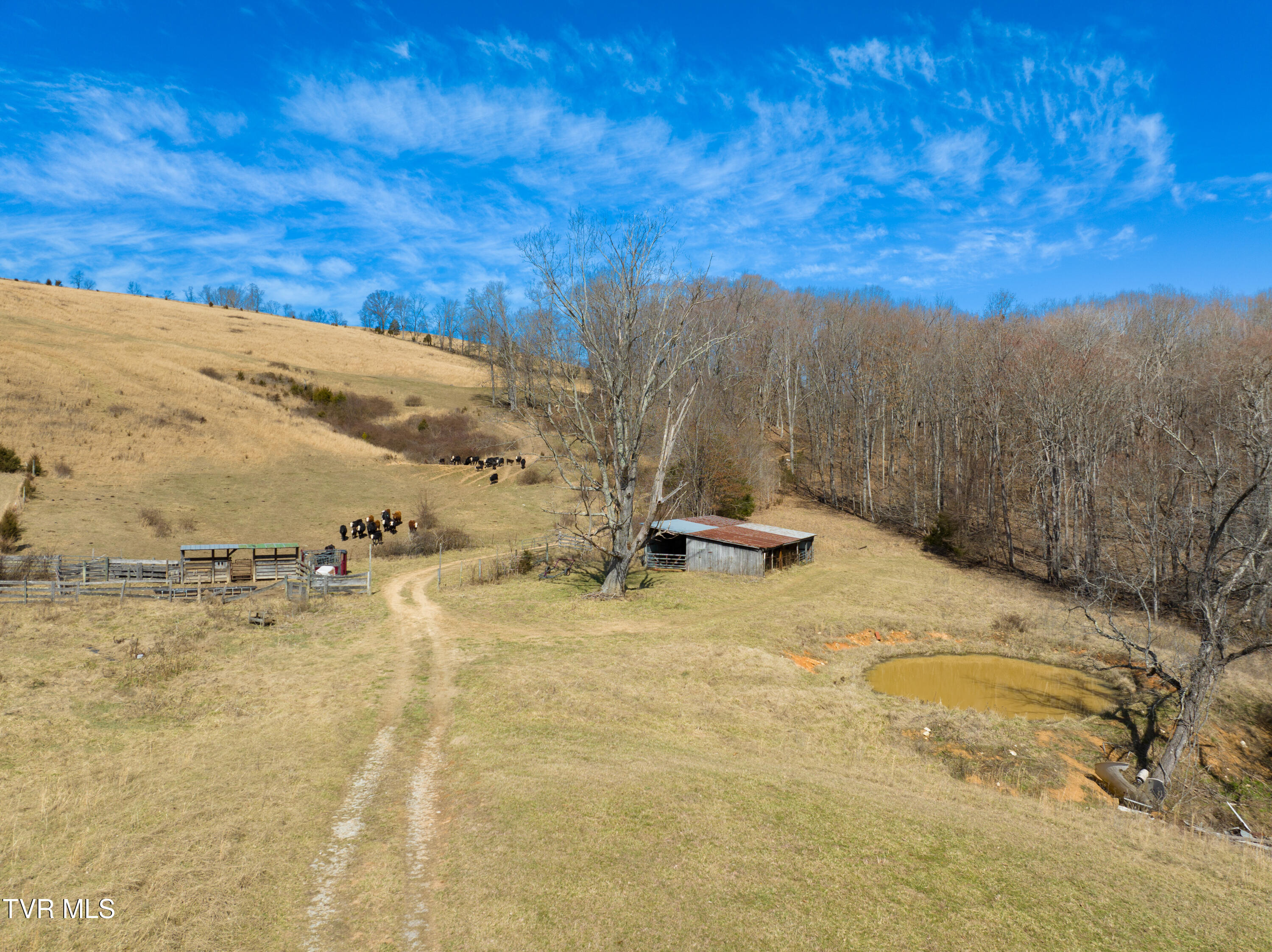 2192 Wolfe Cir Cir, Thorn Hill, Tennessee image 21