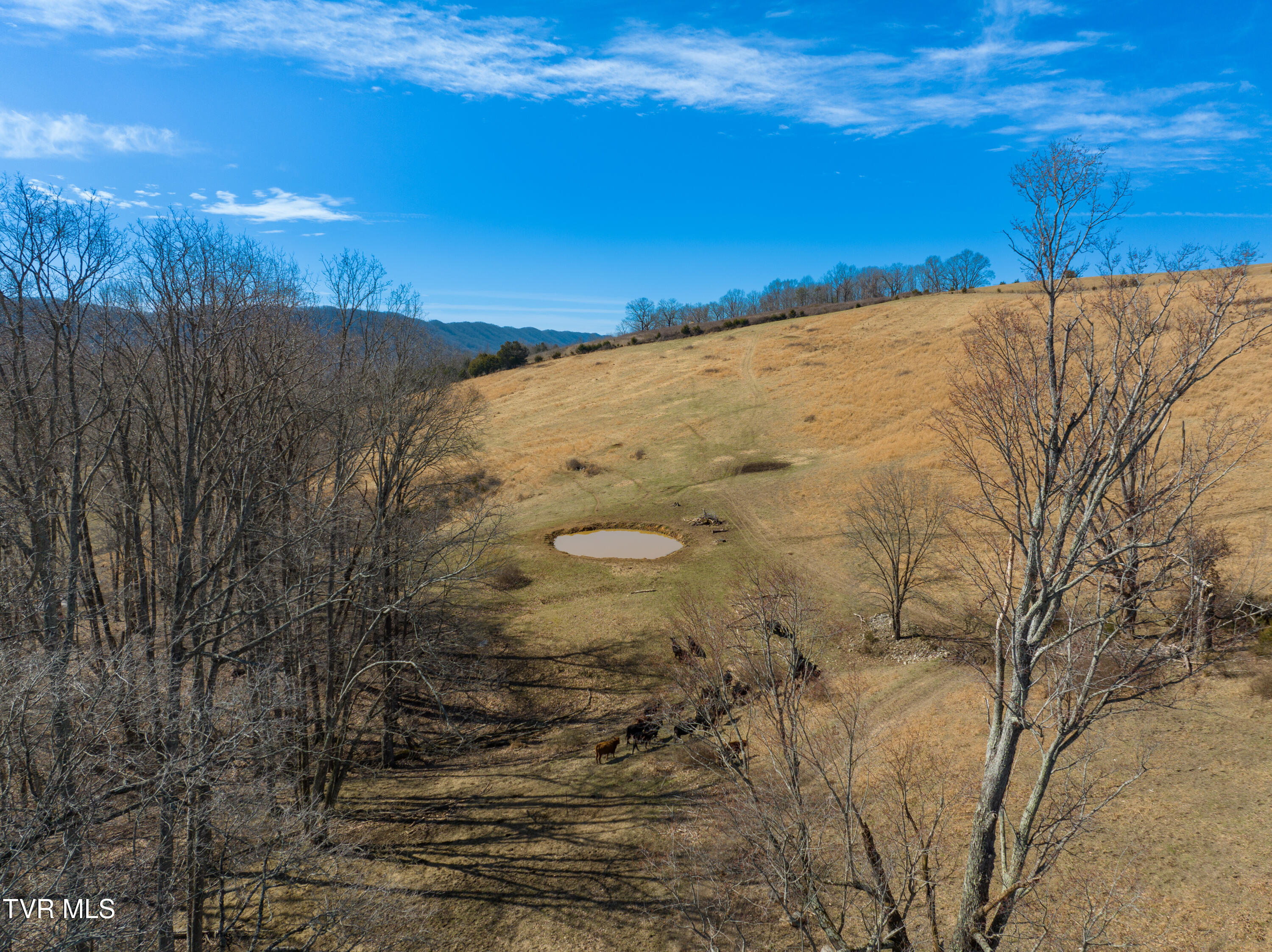 2192 Wolfe Cir Cir, Thorn Hill, Tennessee image 9