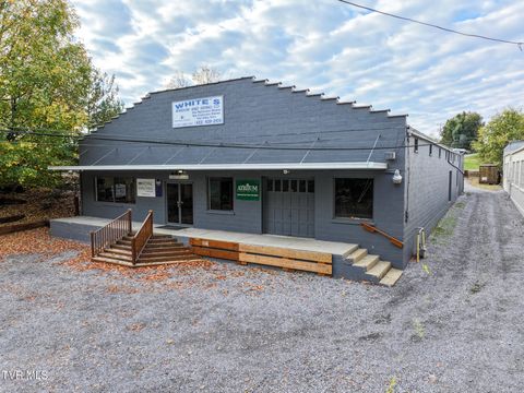 Photo of 403 Summer Street, Greeneville, TN 37743 (MLS # 9987136)