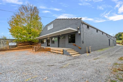 Photo of 403 Summer Street, Greeneville, TN 37743 (MLS # 9987136)