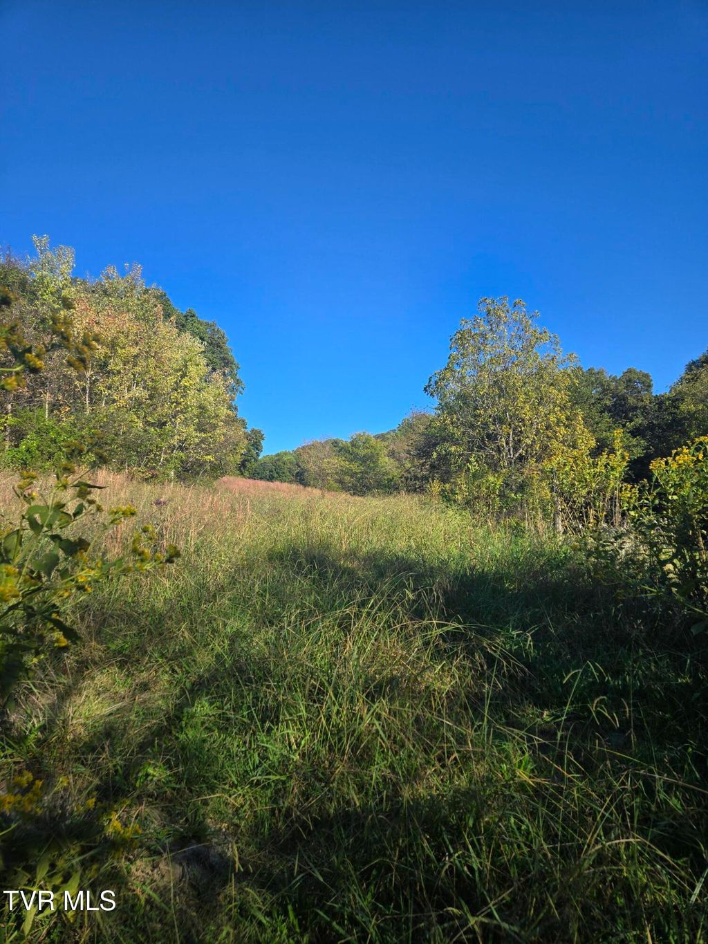 Photo of Tbd Old Baileyton Road, Afton, TN 37616 (MLS # 9987079)