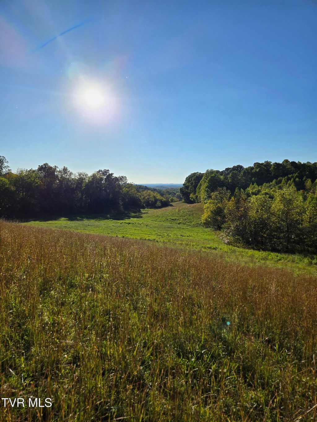 Photo of Tbd Old Baileyton Road, Afton, TN 37616 (MLS # 9987079)