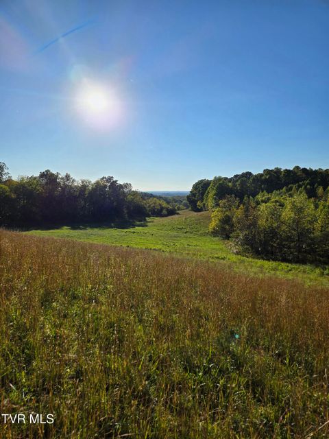 Vacant Land For Sale - TBD Old Baileyton Road<br/> Afton, TN 37616