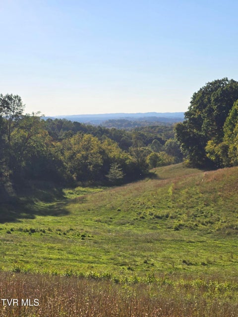 Vacant Land For Sale - TBD Old Baileyton Road<br/> Afton, TN 37616