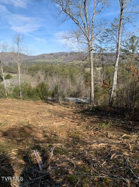Vacant Land For Sale - TBD Putters Peak<br/> Tazewell, TN 37879