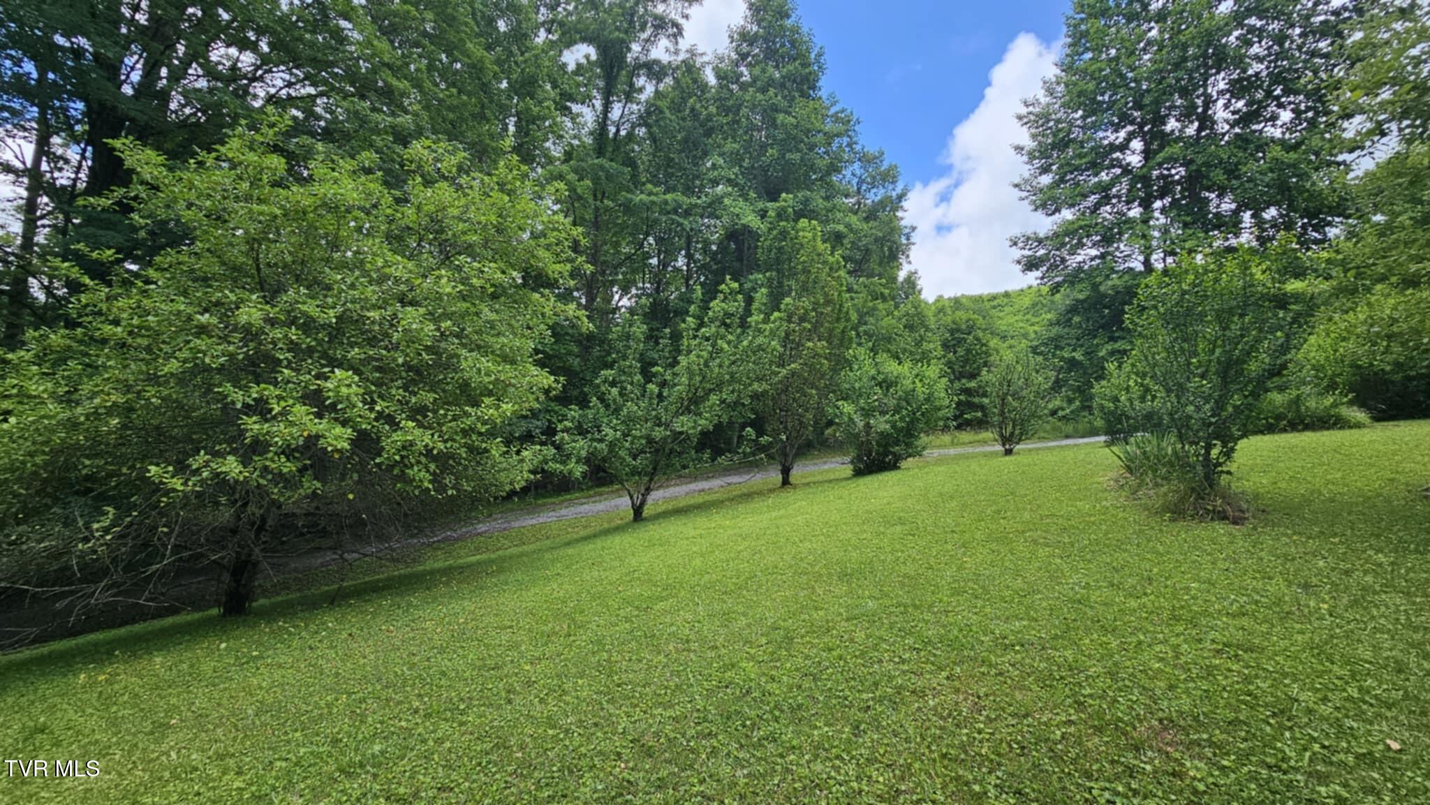 314 Observation Drive, Duffield, Virginia image 3