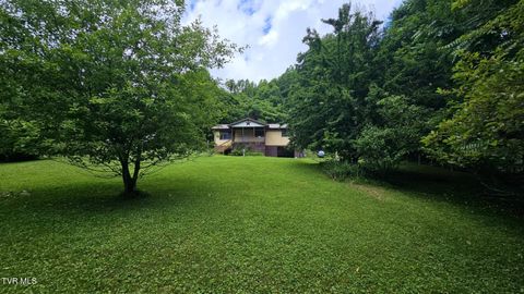 Homes For Sale - 314 Observation Drive<br/> Duffield, VA 24244